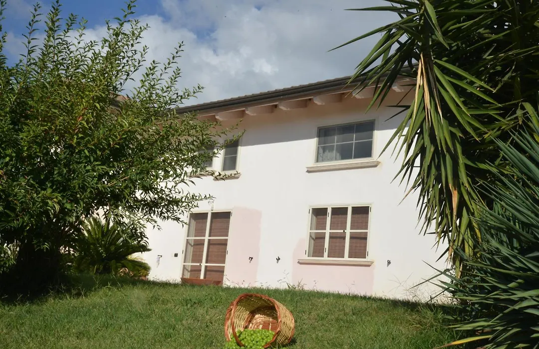B&B Macchia d'Olmo-1